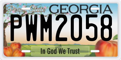 GA license plate PWM2058