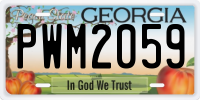 GA license plate PWM2059