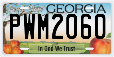 GA license plate PWM2060