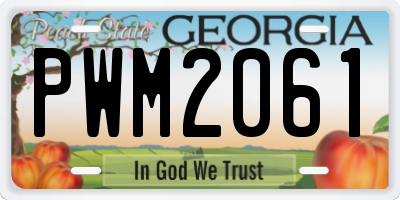 GA license plate PWM2061