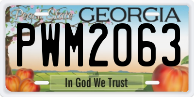 GA license plate PWM2063