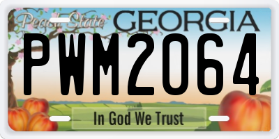 GA license plate PWM2064