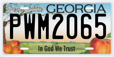 GA license plate PWM2065