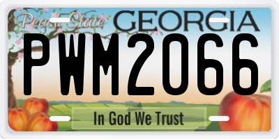 GA license plate PWM2066
