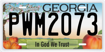 GA license plate PWM2073