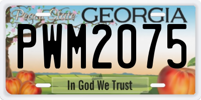 GA license plate PWM2075