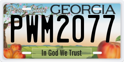 GA license plate PWM2077