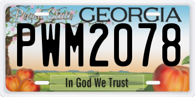 GA license plate PWM2078