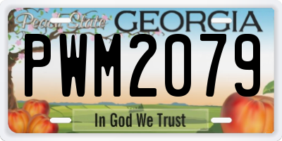 GA license plate PWM2079