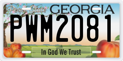 GA license plate PWM2081