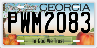 GA license plate PWM2083