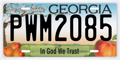 GA license plate PWM2085
