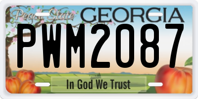 GA license plate PWM2087