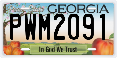 GA license plate PWM2091