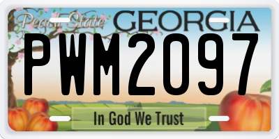 GA license plate PWM2097