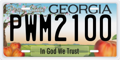 GA license plate PWM2100