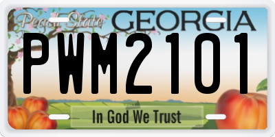 GA license plate PWM2101