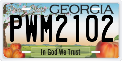 GA license plate PWM2102