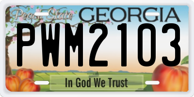 GA license plate PWM2103