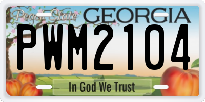 GA license plate PWM2104