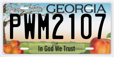GA license plate PWM2107