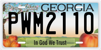GA license plate PWM2110