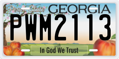 GA license plate PWM2113