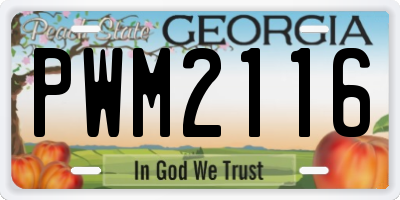 GA license plate PWM2116