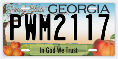 GA license plate PWM2117