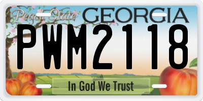 GA license plate PWM2118