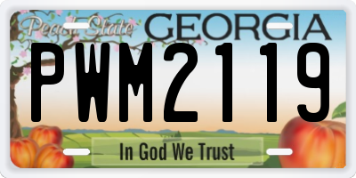 GA license plate PWM2119
