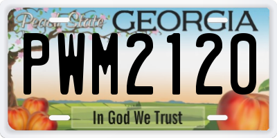 GA license plate PWM2120