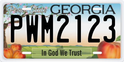 GA license plate PWM2123