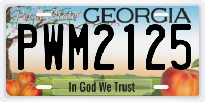 GA license plate PWM2125