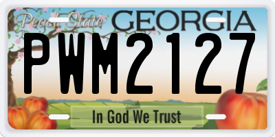 GA license plate PWM2127