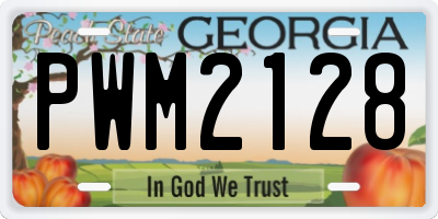 GA license plate PWM2128