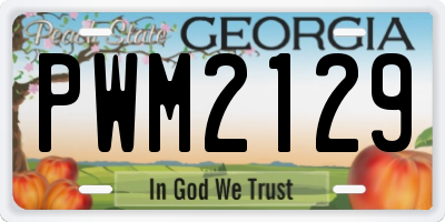 GA license plate PWM2129