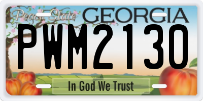 GA license plate PWM2130