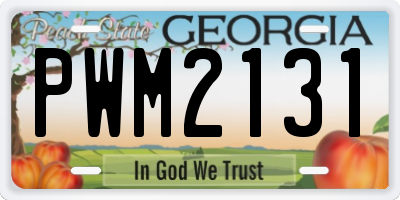GA license plate PWM2131