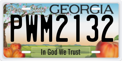 GA license plate PWM2132