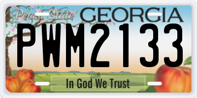 GA license plate PWM2133
