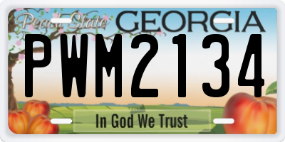 GA license plate PWM2134