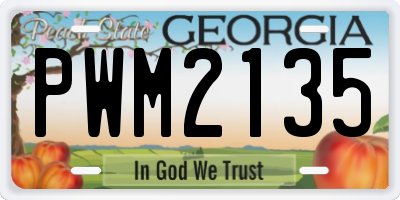 GA license plate PWM2135