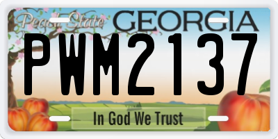 GA license plate PWM2137