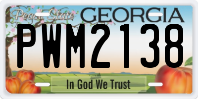 GA license plate PWM2138
