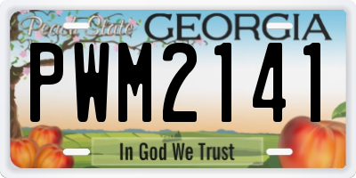 GA license plate PWM2141