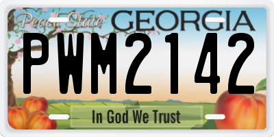 GA license plate PWM2142