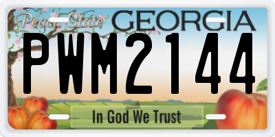 GA license plate PWM2144