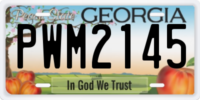 GA license plate PWM2145