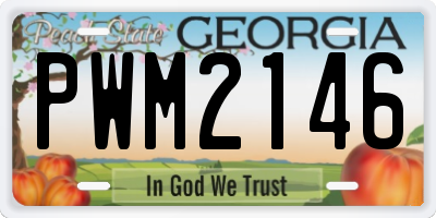 GA license plate PWM2146